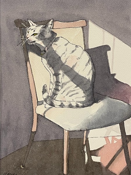 Cat Shadows