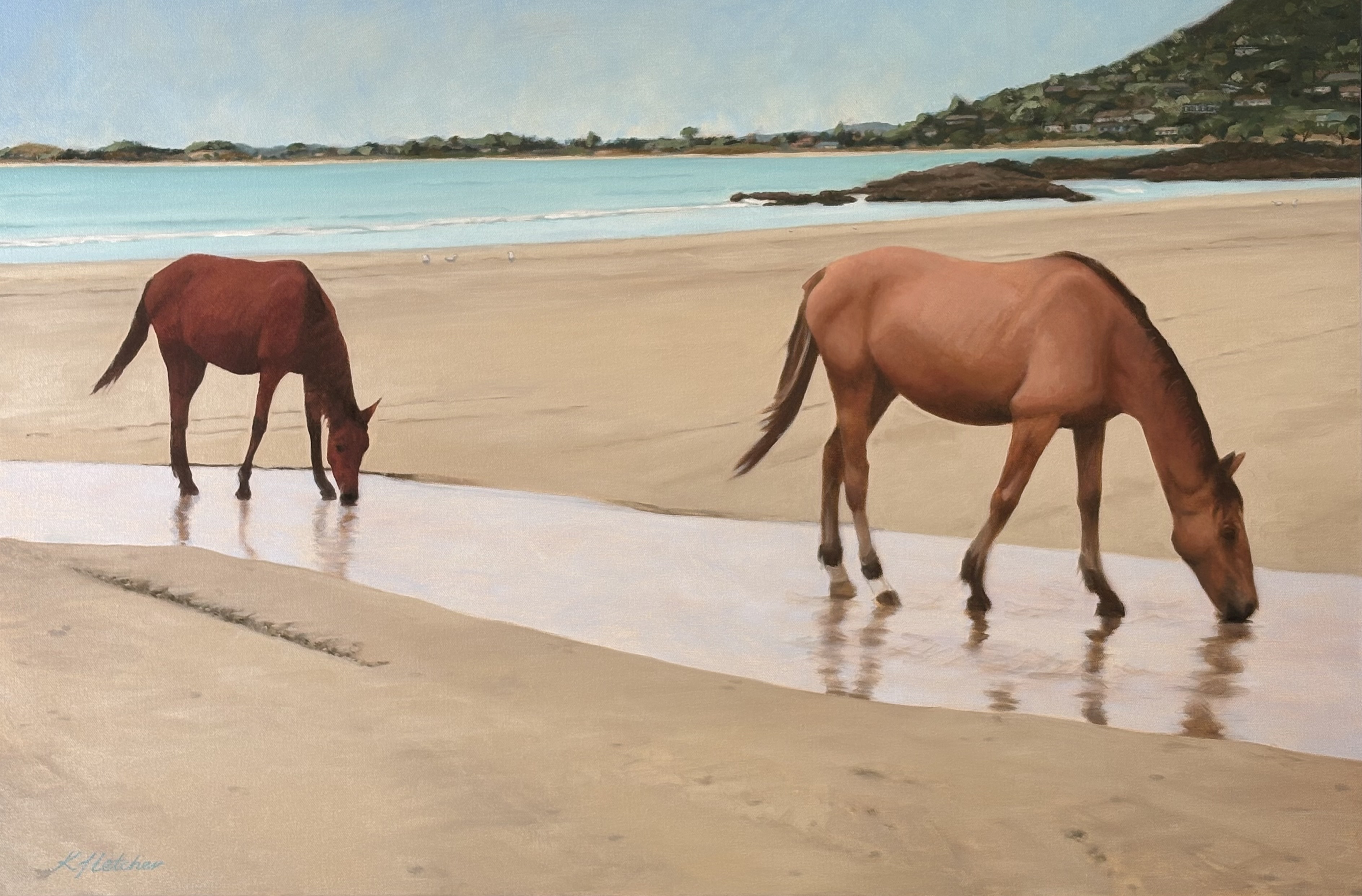 Fresh Water Horses